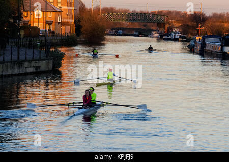 Ruderer auf dem Fluss Lea am frühen Morgen, London, England, Vereinigtes Königreich, Großbritannien Stockfoto