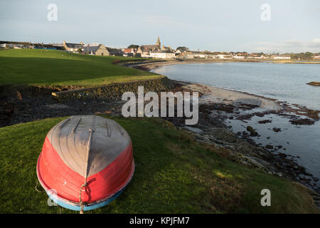 Ballywalter, Co, N Irland, Großbritannien. 16 Dez, 2017. Wetter news. Nach der jüngsten Kältewelle eine mildere Zauber von Wetter und einem schönen sonnigen Start heute im Ballywalter, Nordirland. copyright Credit: Gary Telford/Alamy leben Nachrichten Stockfoto