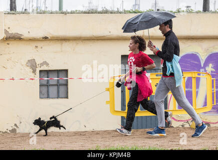 Canicross Rennen/Fun Run in Spanien Stockfoto