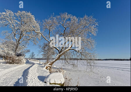 Kalten und klaren Wintermorgen Stockfoto