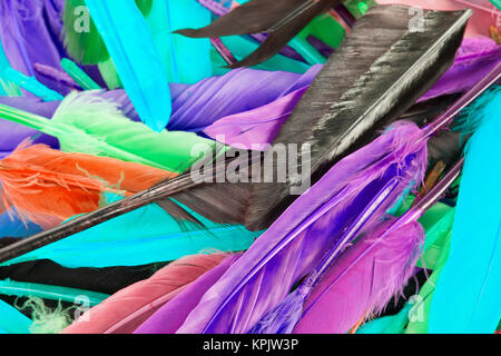 Bunte Feder rainbow Vogelfedern. Ente Gans Taube parrot Lagerträger feathres... Regenbogen farbigen Hintergrund. Abstrakt. Stockfoto