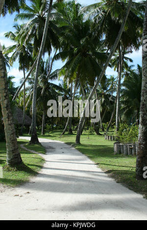 Palmen Sie und Rasen Weg, La Digue, Seychellen. Stockfoto