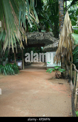 Vallée de Mai Nature Reserve Eingangs- und Empfangsbereich, Praslin, Seychellen. Stockfoto