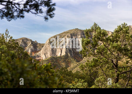 Guadalupe Mountains National Park, Texas - McKittrick Ridge. Stockfoto