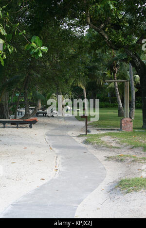 Palmen Sie und Gehsteig entlang Paradies Otel Liegewiese in der Nähe von Strand, Insel Praslin, Seychellen. Stockfoto