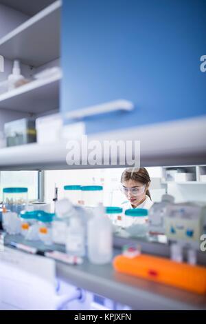 Weiblicher Wissenschaftler im Labor arbeiten. Stockfoto