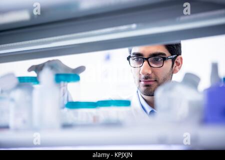 Männliche Laboratory Assistant mit Brille. Stockfoto