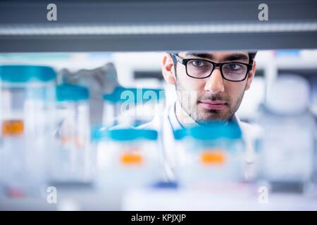 Männliche Laboratory Assistant mit Brille. Stockfoto