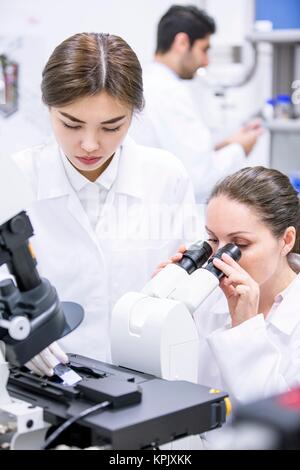 Weibliche Wissenschaftler im Labor arbeiten. Stockfoto