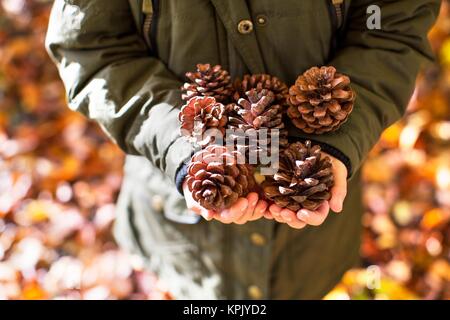 Frau mit Tannenzapfen. Stockfoto