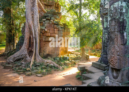 Die schöne Ruinen der Tempel von Ta Prohm Stockfoto