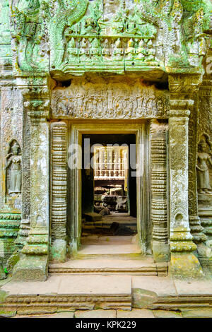 Die schöne Ruinen der Tempel von Ta Prohm Stockfoto