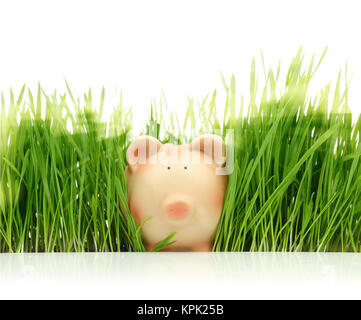 Sparschwein mit grünem Gras auf weißem Hintergrund Stockfoto