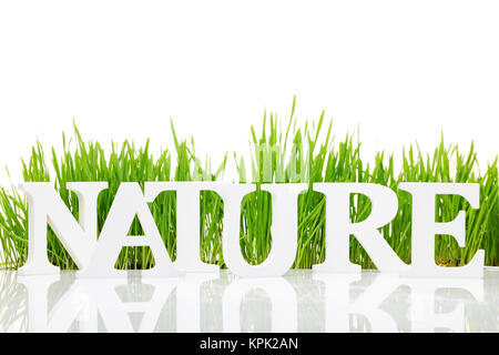 Wort "Natur" mit frischem Gras isoliert auf weißem Stockfoto