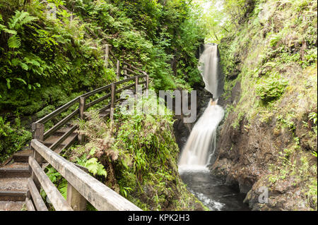 Fußweg outdoor trail Track mit hölzernen Zaun neben einem kleinen, schnell fließenden Wasserfall in einer Schlucht im Wald. Glenariff Forest Park, Northern Irelan Stockfoto