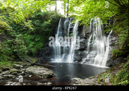 Wasserfall mit kleinen Teich unten durch Bäume und üppige Vegetation in einem Laubwald im Sommer umgeben. Glenariff Forest Park, Nordirland Stockfoto
