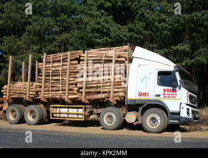 Holz träger Lkw auf der Seite der Straße geparkt, Königreich Swasiland. Stockfoto