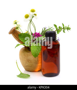 Mörser und Stößel mit frischen Kräutern und ätherischen Öl Flasche Stockfoto