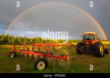 Ein Regenbogen erscheint in den Himmel über einem Traktor, der nur ein Feld von Heu geharkt hat; Delta Junction, Alaska. Vereinigte Staaten von Amerika Stockfoto