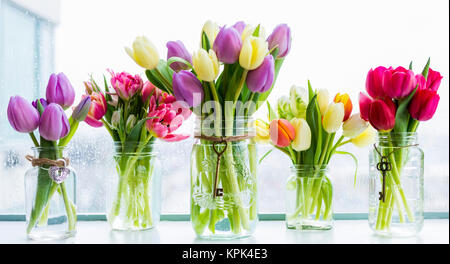 Blumensträuße von Tulpen im dekorierten Gläsern in einer Reihe auf einer Fensterbank, Surrey, British Columbia, Kanada Stockfoto