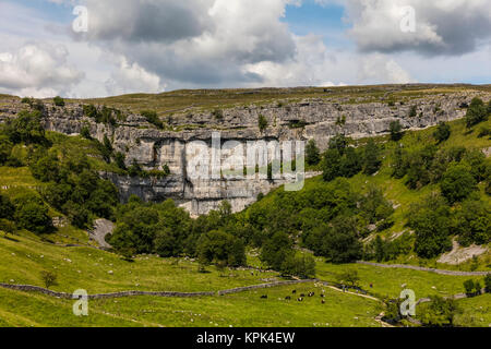 Malham Cove, einem Kalkstein Formation in den Yorkshire Dales; Malham, North Yorkshire, England Stockfoto