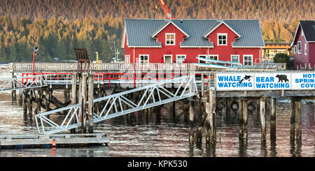 Gebäude und Piers entlang der Küste mit Anzeichen für Wale und Bären beobachten, Clayoquot Sound, Vancouver, Insel, Tofino, Britisch-Kolumbien, Kanada Stockfoto