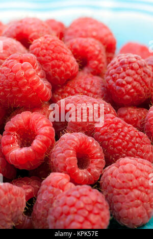 Close-up of fresh, red raspberries Stockfoto