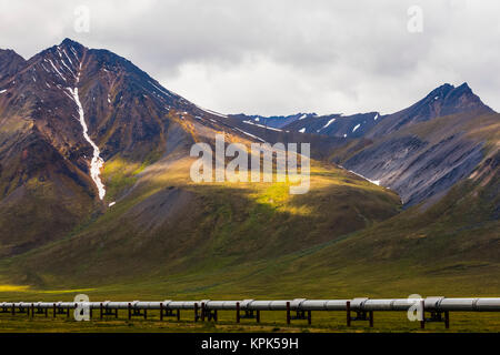 Der Trans-Alaska Pipeline durchquert über Tundra unter den Bergen der Brooks Range entlang der Dalton Highway, Alaska, Vereinigte Staaten von Amerika Stockfoto