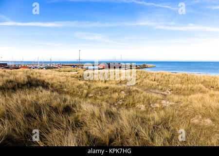 Strand in das kleine Dorf Aalbæk in der Nähe von Skagen im Bereich der Kattegat Stockfoto