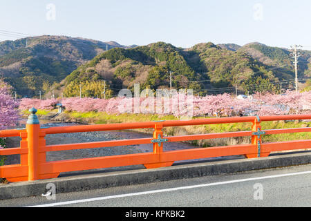 Kirschbaum und Fluss in kawazu Stadt Stockfoto