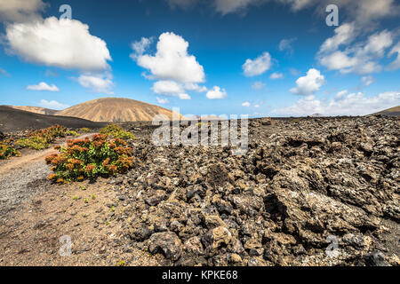 Nationalpark Timanfaya auf Lanzarote, Kanarische Inseln, Spanien Stockfoto