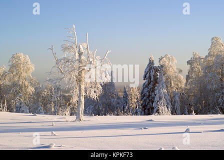 Schneebedeckte Lichtung oben auf dem Hügel, umgeben von Frost bedeckt Bäume in klaren eisigen Wetter Stockfoto