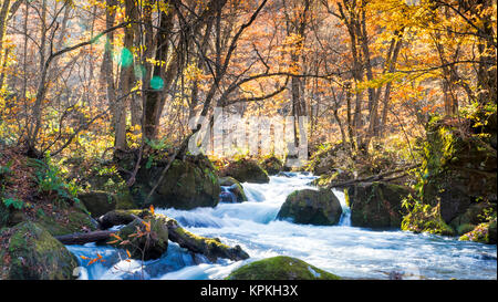 Geheimnisvolle Oirase Strom fließt durch den Wald in Towada Hachimantai Nationalpark in Aomori Japan Stockfoto