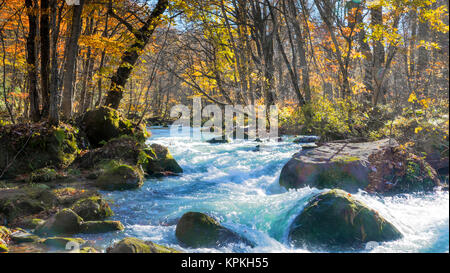 Geheimnisvolle Oirase Strom fließt durch den Wald in Towada Hachimantai Nationalpark in Aomori Japan Stockfoto