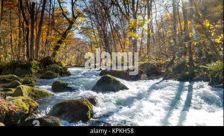 Geheimnisvolle Oirase Strom fließt durch den Wald in Towada Hachimantai Nationalpark in Aomori Japan Stockfoto