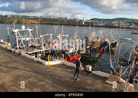 Trawler Fischerboote im Hafen Schälen, Isle of Man, Großbritannien. Die Fischerei auf Kammmuscheln (queenies). Strenge Quoten bedeuten die Boote zum Hafen zurück. Stockfoto