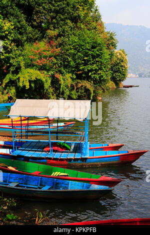 Ruderboote am Phewa-See Stockfoto