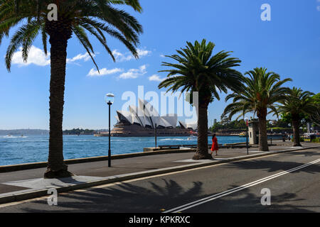 Sydney Opera House durch Palmen auf Hickson Road, Campbell's Cove, The Rocks, Sydney, New South Wales, Australien Stockfoto