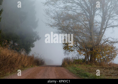 Wanderweg im Nebel Harz Landschaft Stockfoto