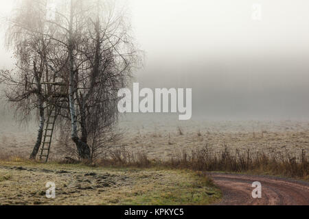 Wanderweg im Nebel Harz Landschaft Stockfoto