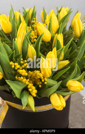 Hellen Frühlingsstrauß Tulpen und Mimosen Blüten Stockfoto