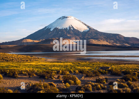 Schneebedeckte Parinacota Vulkan spiegelt sich im See Chungara, Chile Stockfoto