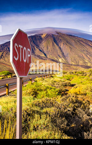 Stop-Schild auf Talstrasse Stockfoto