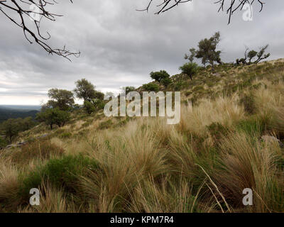 Die Aussicht bei Mogote Bayo Naturpark, Merlo, San Luis, Argentinien Stockfoto