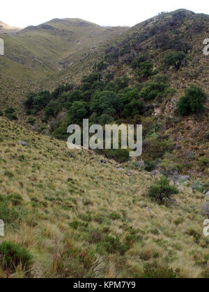 Die Aussicht bei Mogote Bayo Naturpark, Merlo, San Luis, Argentinien Stockfoto