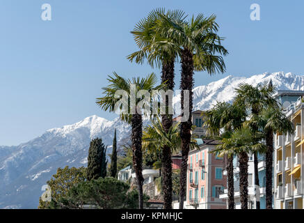 Ascona Stockfoto