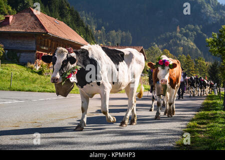 Die transhumanz Ereignis in Charmey Stockfoto