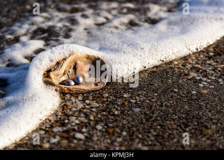 Australische Perlen über eine alte Schale am Strand umspült von den Wellen des Meeres. Stockfoto