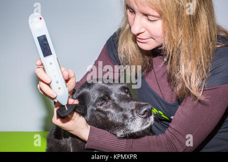 Ohr-Akupunktur Stockfoto