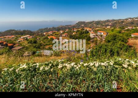 Levada Wanderweg im Osten von Madeira - levada dos Tornos-in Camacha Stockfoto